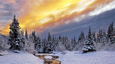 winter pictures wallpaper